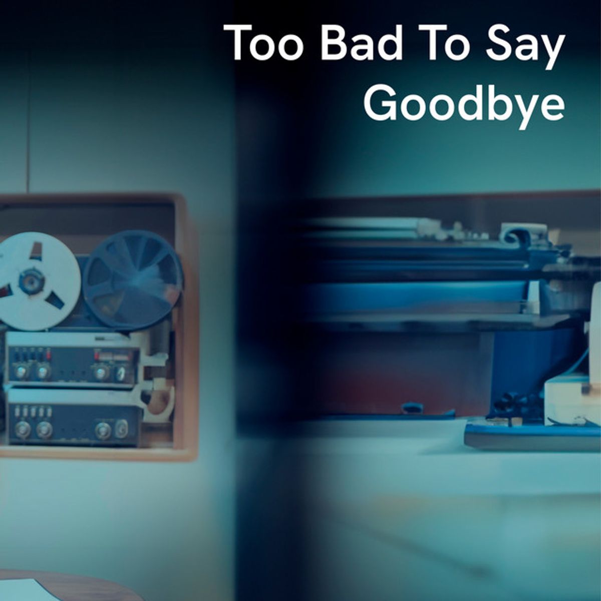 Too Bad to Say Goodbye