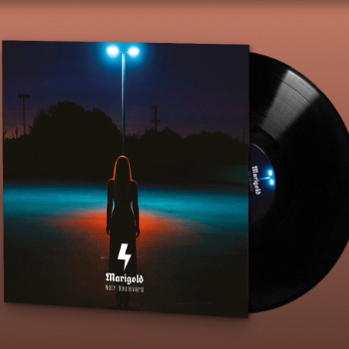 Album Vinyl