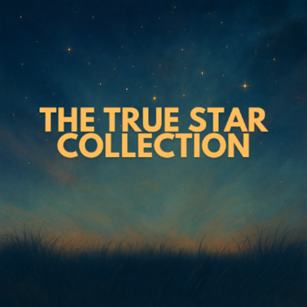 Shop The True Star Collection