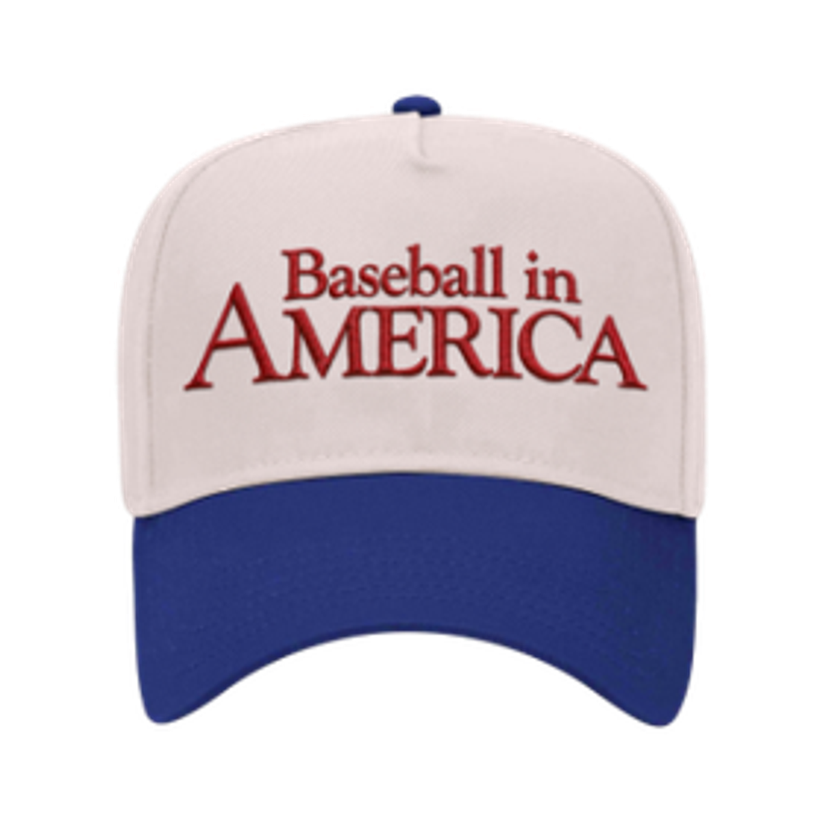 Baseball in America Hat