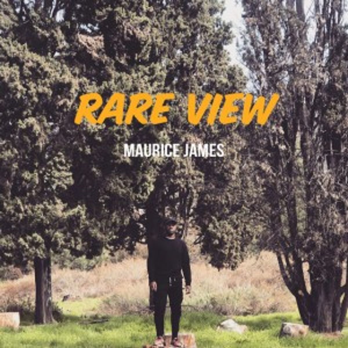 Rare View