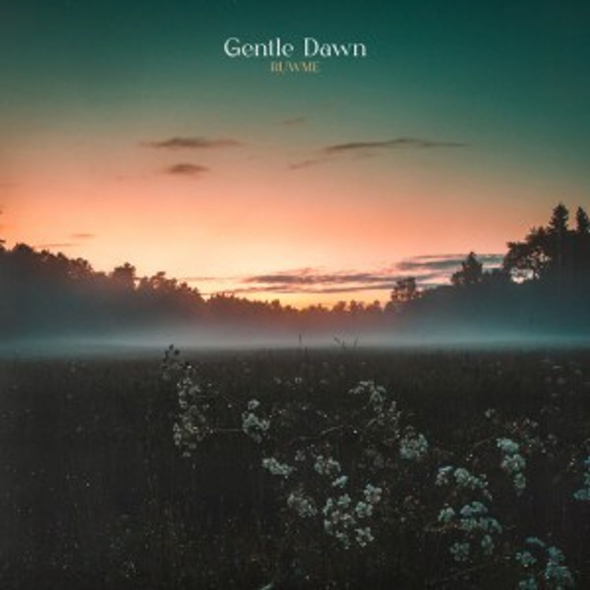 Gentle Dawn