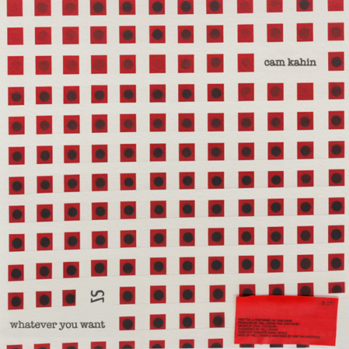 whatever you want